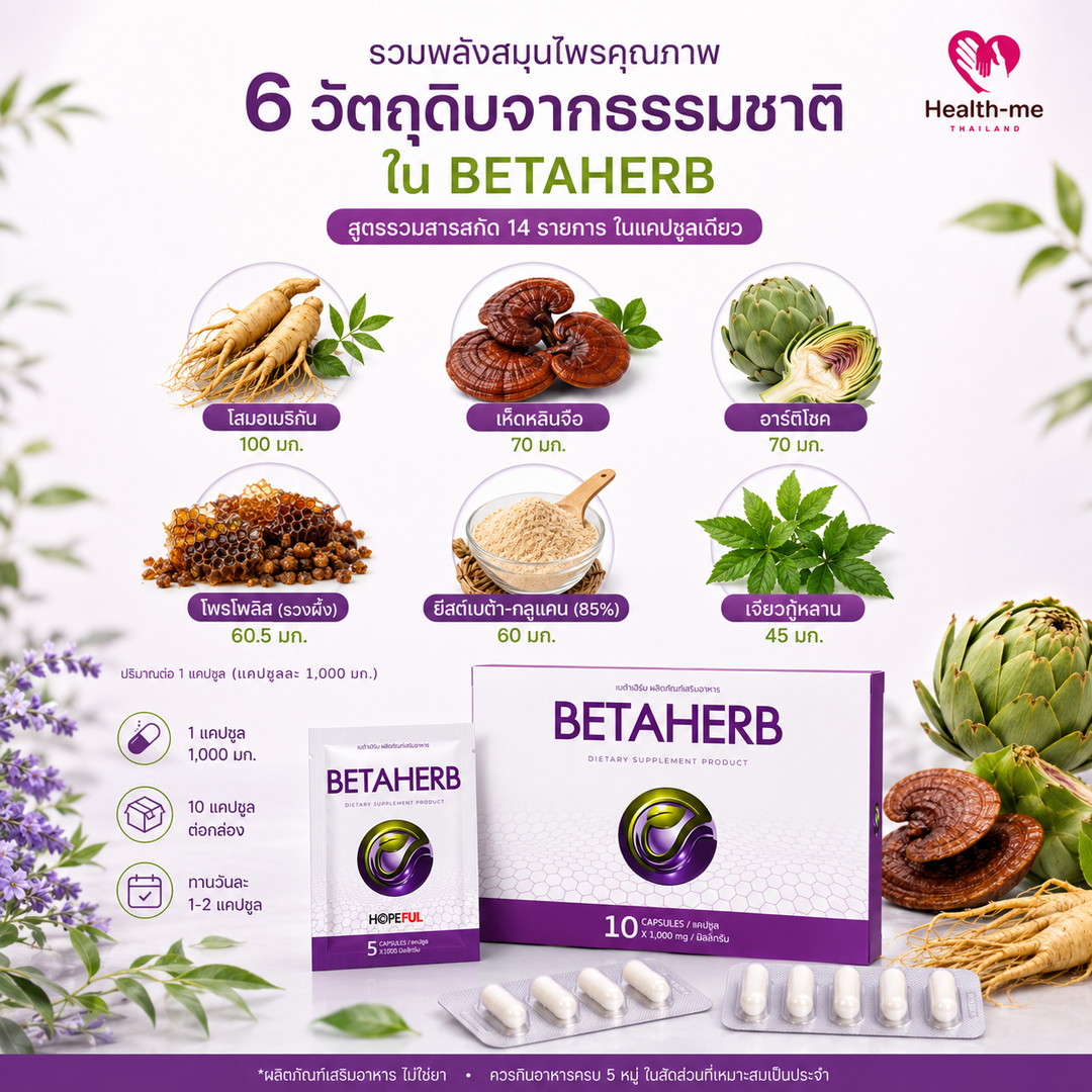 สารสกัดสมุนไพรในสูตร BETAHERB โสมอเมริกัน เห็ดหลินจือ อาร์ติโชค เจียวกู้หลาน