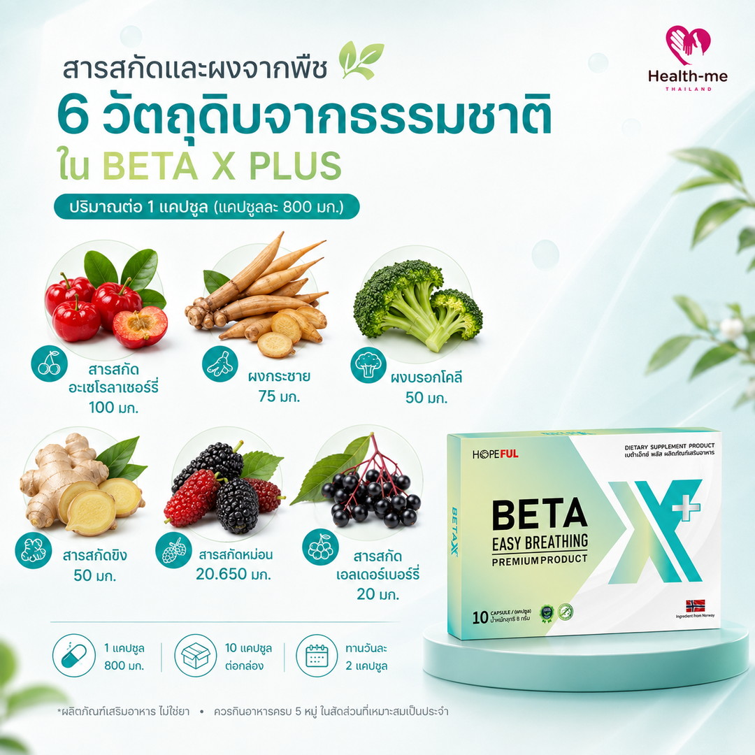สารสกัดและวัตถุดิบจากพืชในสูตร BETA X PLUS อะเซโรลาเชอร์รี่ กระชาย บรอกโคลี ขิง หม่อน เอลเดอร์เบอร์รี่