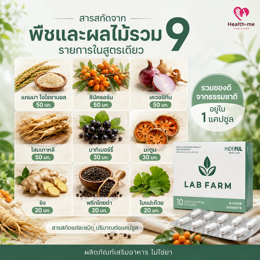 สารสกัดจากพืชและผลไม้ในสูตร LAB FARM ซีบัคธอร์น โสมเกาหลี มากิเบอร์รี่ มะตูม ขิง แปะก๊วย